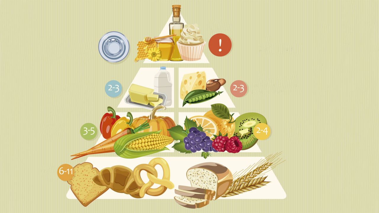 Servicios Alimentación vegetariana